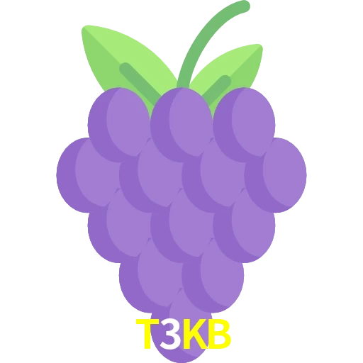 T3KB